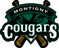 fanion club des Cougars de Montigny Baseball