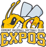 Logo_expos_ermont
